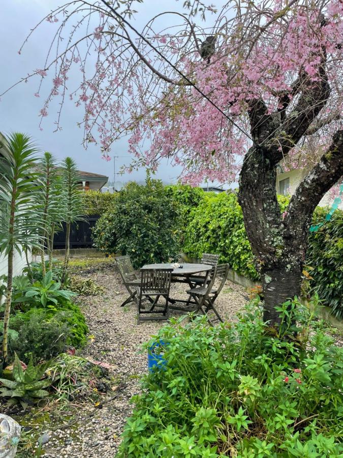 Pretty In The Wood With Wifi Apartment เนลสัน ภายนอก รูปภาพ